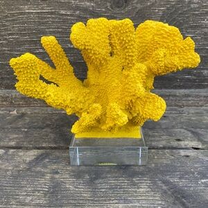 Yellow Decorative Coral Sculpture on Clear Base